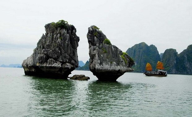 Quang Ninh trien khai giai phap bao ton Hon Trong Mai o Vinh Ha Long hinh anh 1