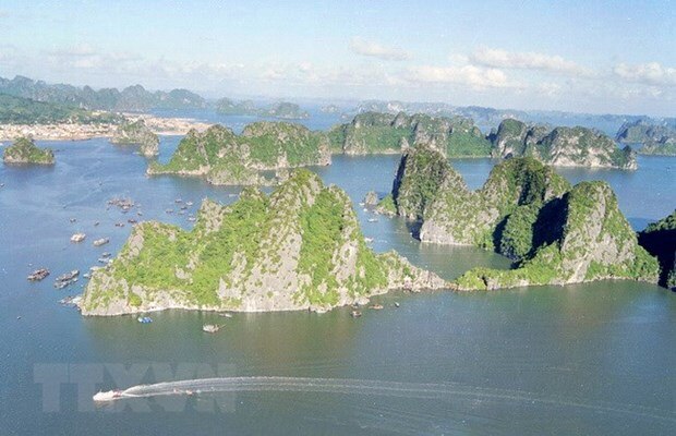 Quang Ninh trien khai giai phap bao ton Hon Trong Mai o Vinh Ha Long hinh anh 3