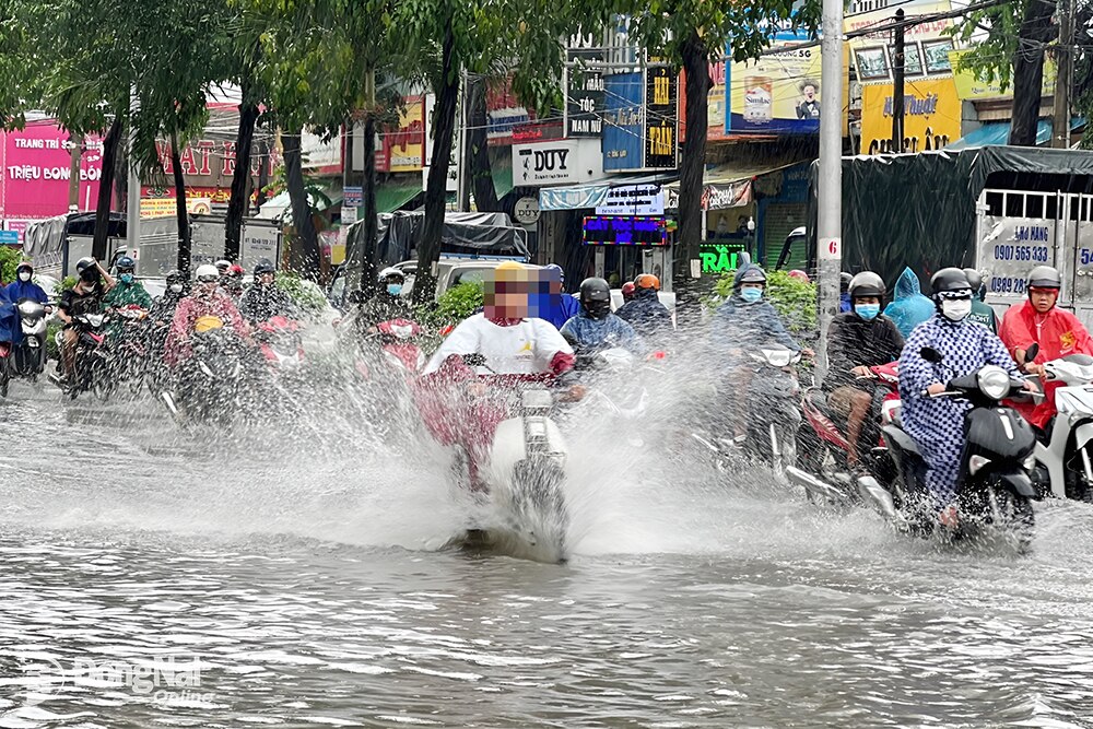 Ảnh minh họa: Minh Thành