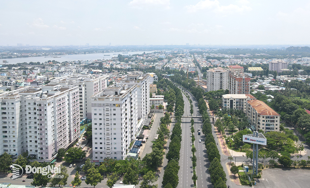 Đường Nguyễn Ái Quốc là tuyến đường trục chính, đường cửa ngõ của đô thị Biên Hòa nhưng cũng có quy mô khá khiêm tốn.