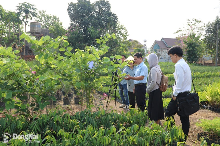 Để Quỹ Hỗ trợ phát triển hợp tác xã phát huy hiệu quả nguồn vốn cho vay