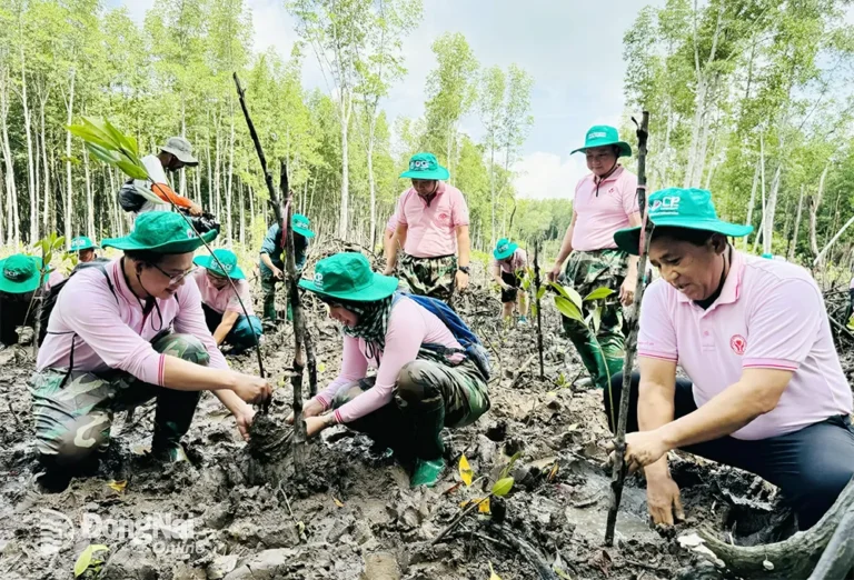 Công ty CP Chăn nuôi C.P. Việt Nam trồng thêm 4 hécta rừng ngập mặn