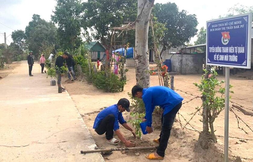 Đoàn viên, thanh niên thị trấn Đak Pơ trồng cây xanh trên tuyến đường làng Hven. Ảnh: Vi Tình