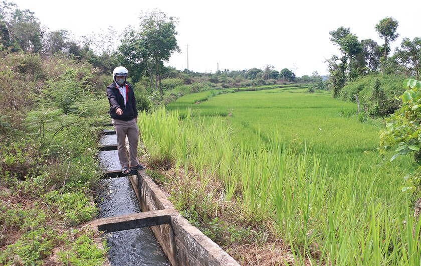 Nguồn nước dẫn về cánh đồng Kjai (xã Kông Htok) vẫn tương đối dồi dào, đảm bảo cho người dân sản xuất. Ảnh: Q.T