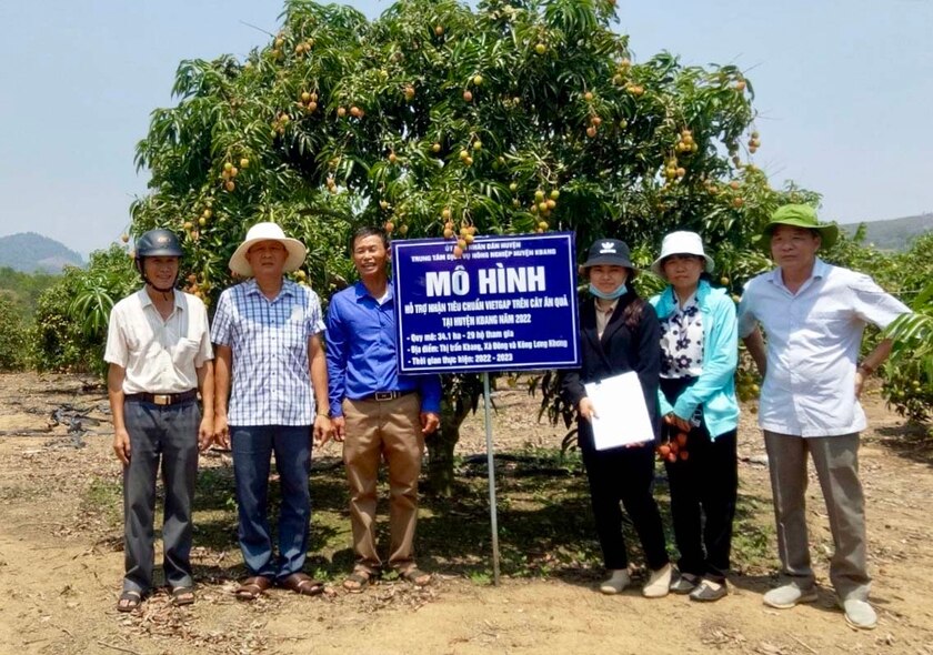 Mô hình hỗ trợ chứng nhận tiêu chuẩn VietGAP trên cây ăn quả tại thị trấn Kbang. Ảnh: L.N