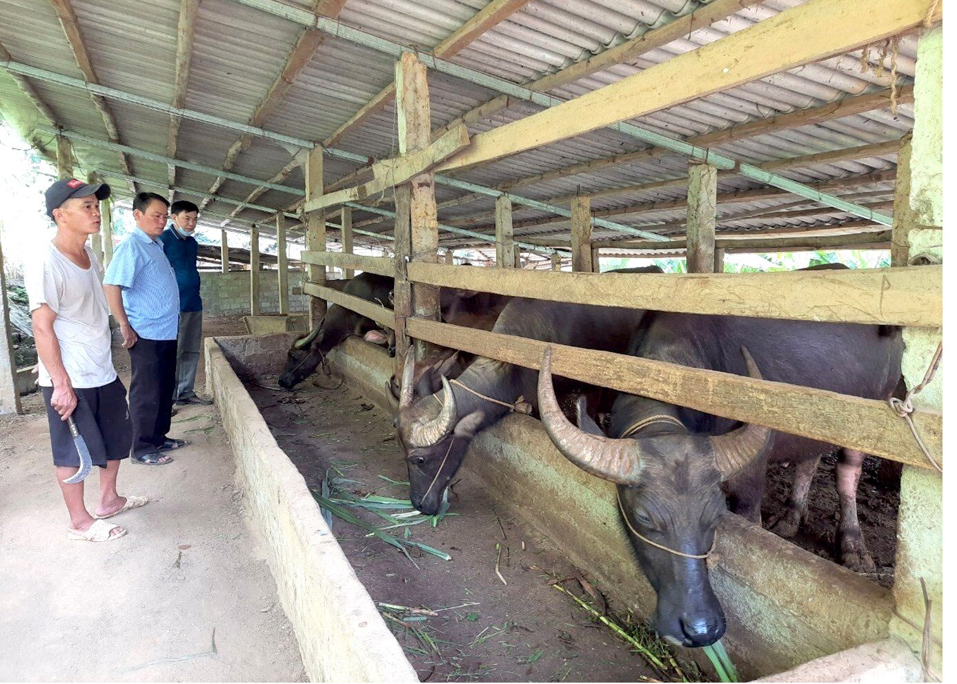 Lãnh đạo xã Giáp Trung thăm mô hình kinh tế tổng hợp của anh Bồn Văn Cuổng (áo trắng).