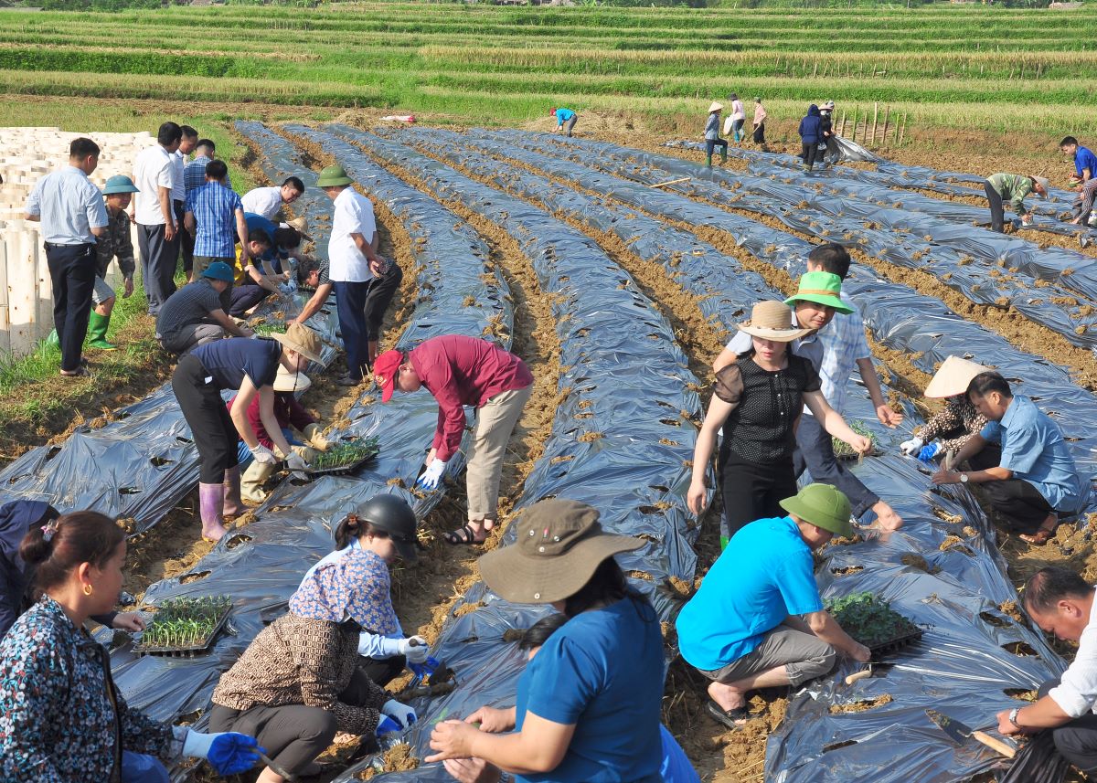 Đông đảo bà con nông dân thôn cùng cán bộ các xã, thị trấn trong huyện trồng cây tại buổi lễ