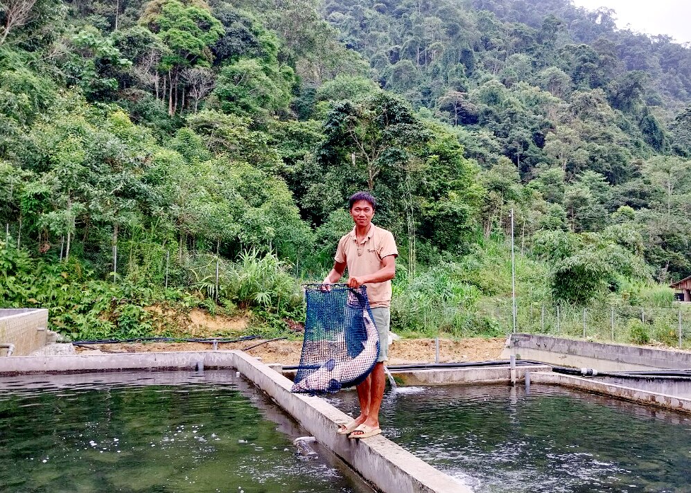 Nuôi cá Tầm đem lại hiệu quả kinh tế cao cho người dân xã Tùng Vài.