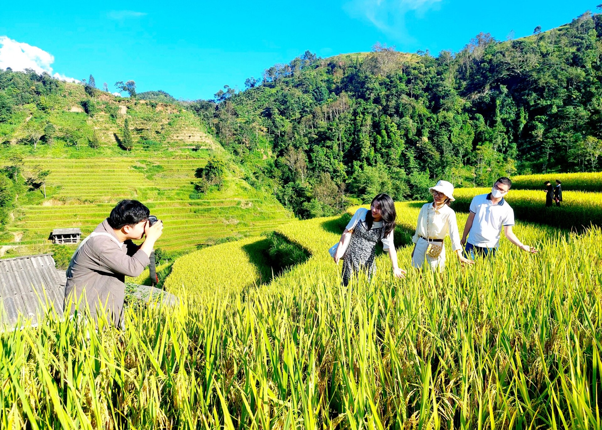 Du khách tham quan, chụp ảnh lưu niệm trên những thửa ruộng bậc thang ở Hoàng Su Phì.