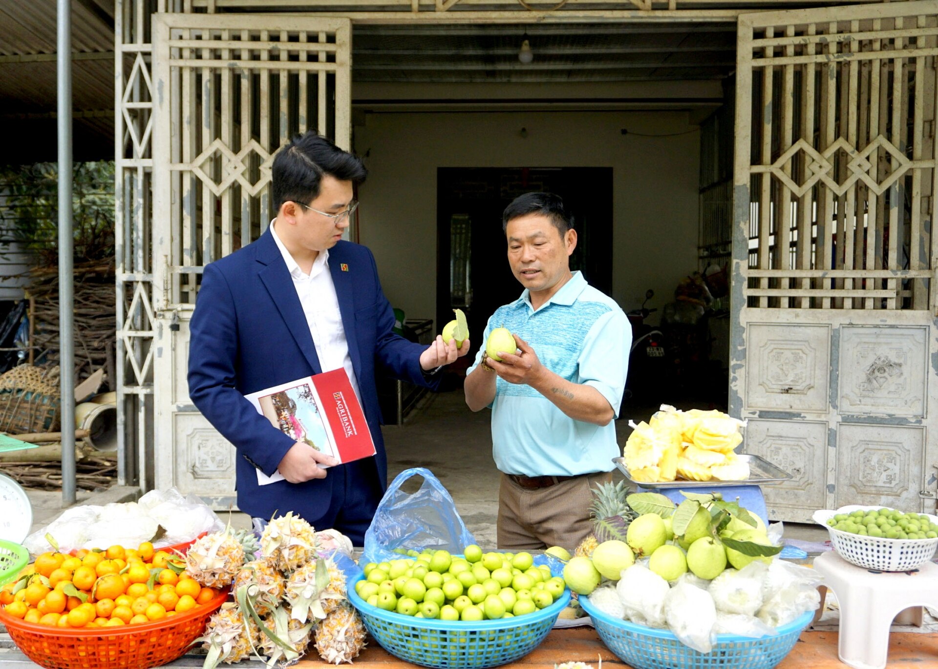 BHG - Thời gian qua, Agribank Chi nhánh Yên Minh tập trung triển khai nhiều giải pháp đảm bảo nguồn vốn tín dụng, nâng cao hiệu quả các chương trình cho vay; góp phần thúc đẩy phát triển KT – XH địa phương.