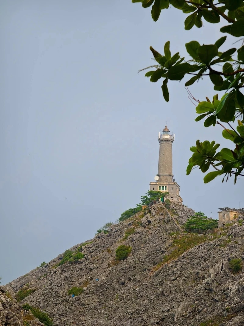 Kham pha hon dao khong nguoi o tai Hai Phong-Hinh-13