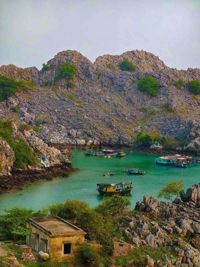 Kham pha hon dao khong nguoi o tai Hai Phong-Hinh-6