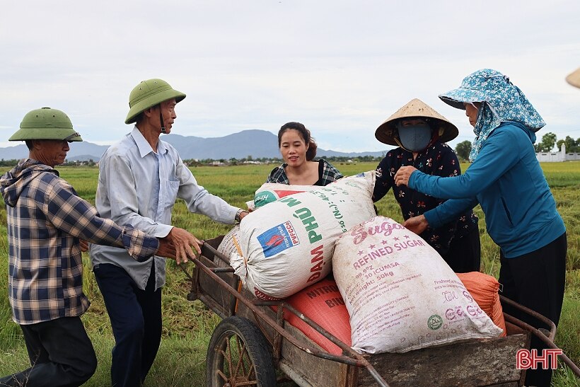 Mưa cận kề, nông dân Hà Tĩnh khẩn trương thu hoạch lúa hè thu cuối vụ