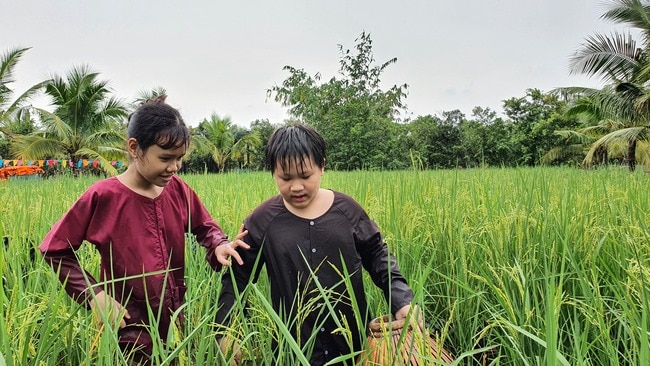 Long An tạo điểm nhấn bằng du lịch công nghiệp - Ảnh 1.