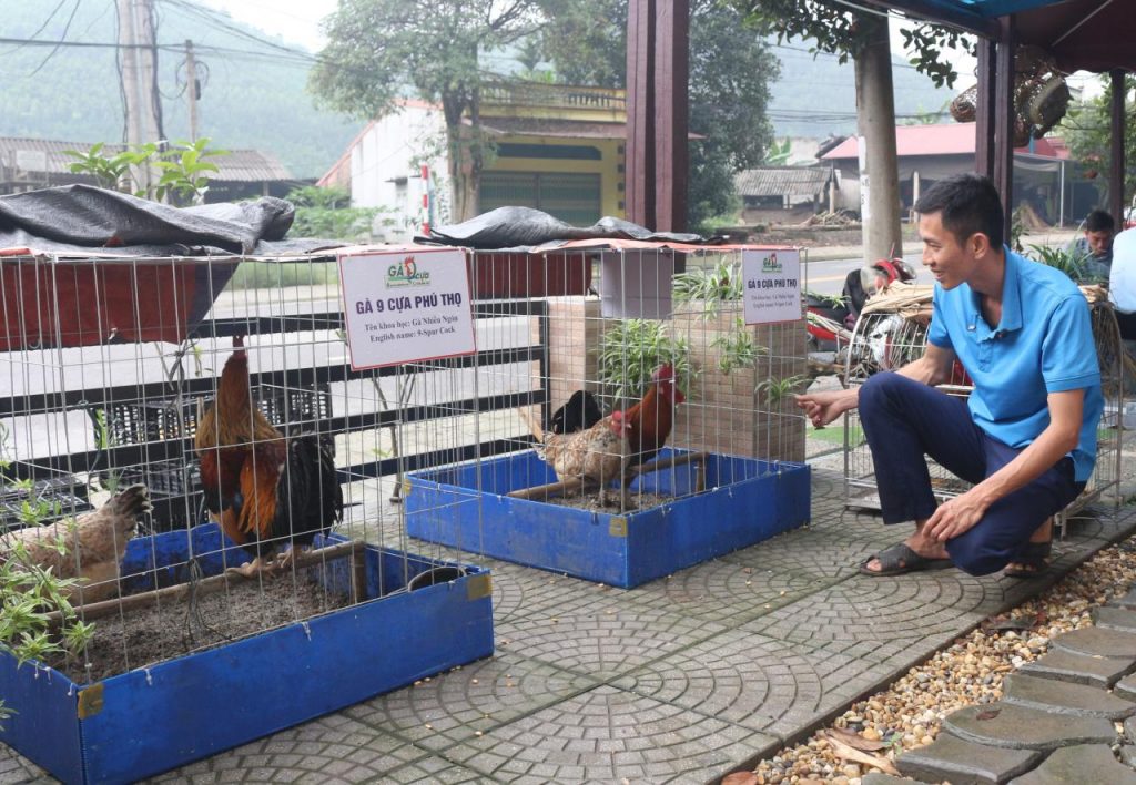 Đi tìm “linh vật” trong truyền thuyết