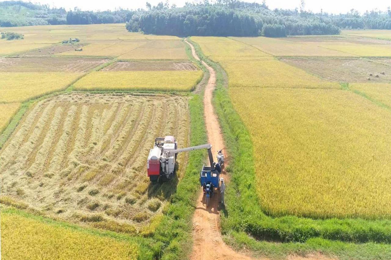 Thúc đẩy cơ giới hóa trong sản xuất nông nghiệp