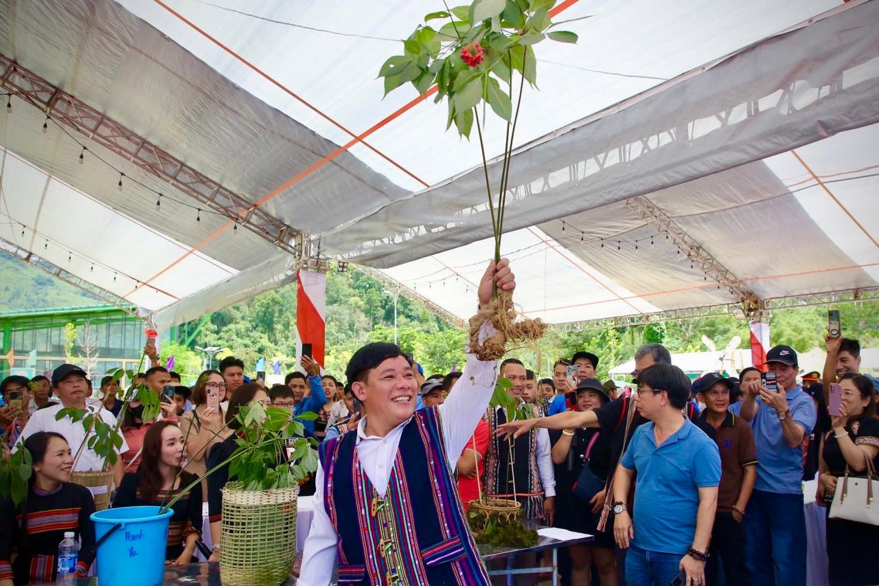 Ông Nguyễn Văn Lượng tặng 3 cây sâm đoạt giải Nhất hội thi sâm Ngọc Linh giúp gây quỹ xóa nhà tạm. Ảnh: A.N