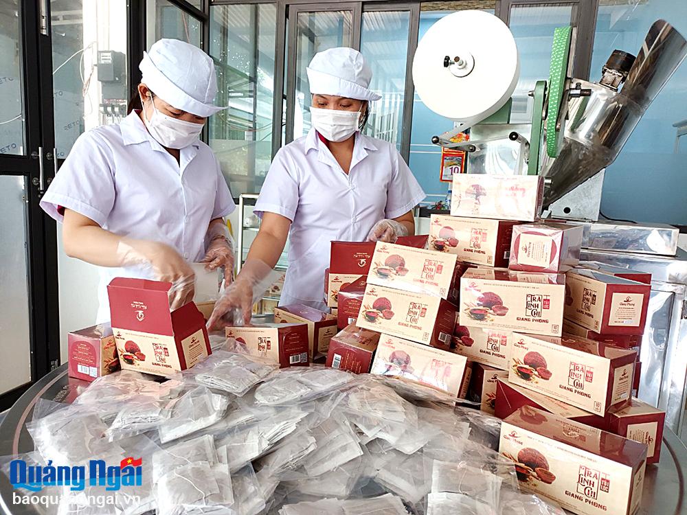 Sản xuất trà linh chi túi lọc tại Hợp tác xã Sản xuất và kinh doanh nấm Đức Nhuận (Mộ Đức).	