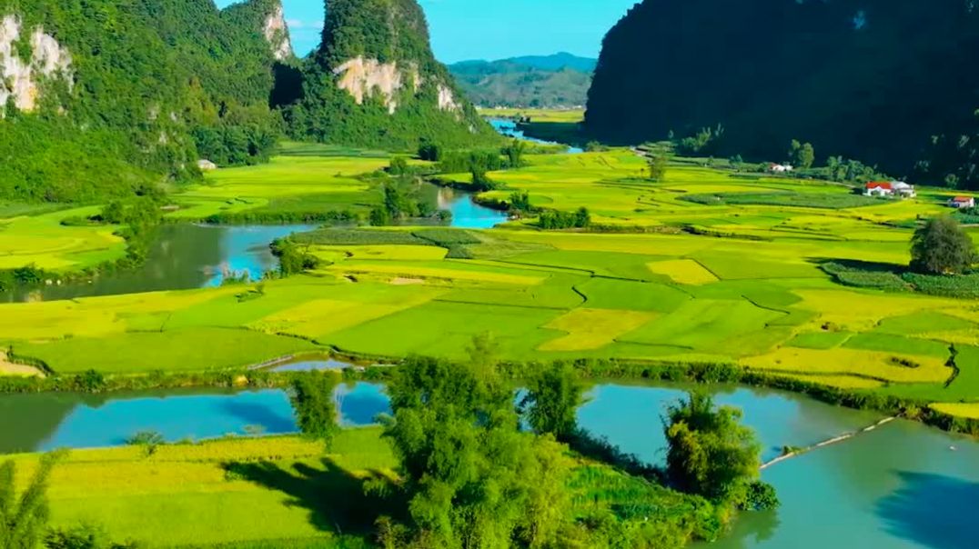 ⁣Vẻ đẹp của cánh đồng lúa ở vùng quê Cao Bằng