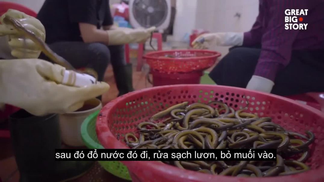 Báo Mỹ giới thiệu súp lươn Nghệ An