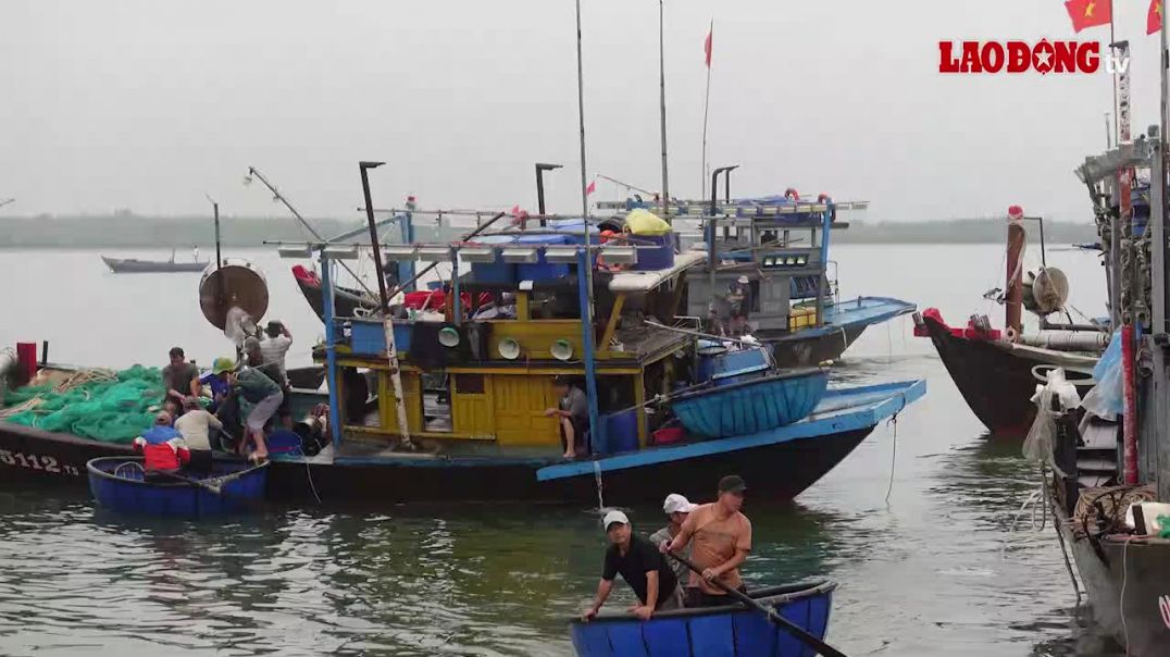 ⁣Du khách dậy từ 4h sáng trải nghiệm không khí cảng cá An Lương
