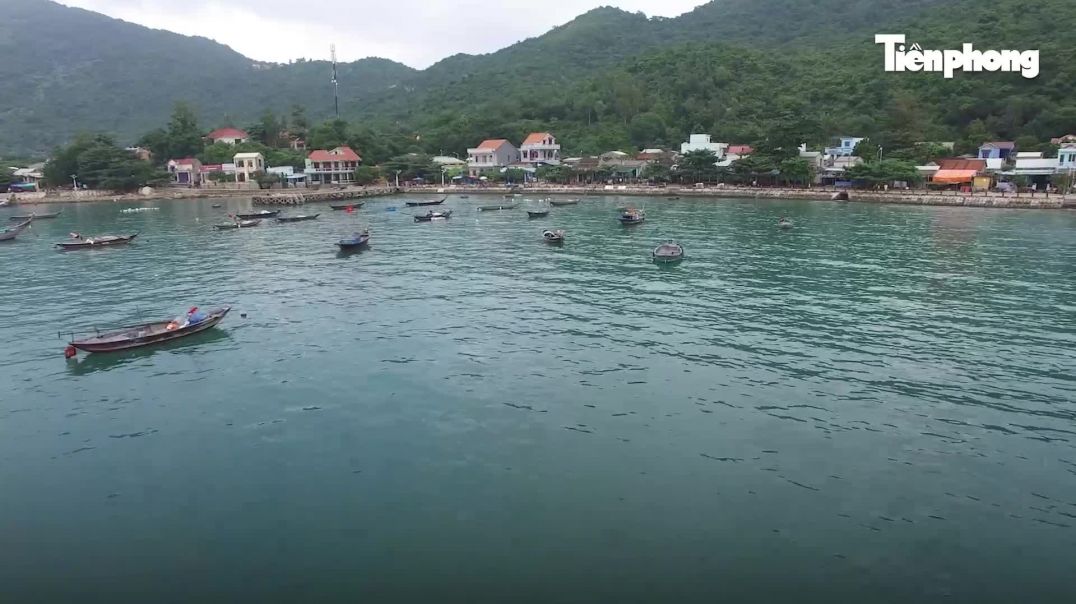 ⁣Thưởng ngoạn kỳ quan tuyệt phẩm khi lặn biển Cù Lao Chàm
