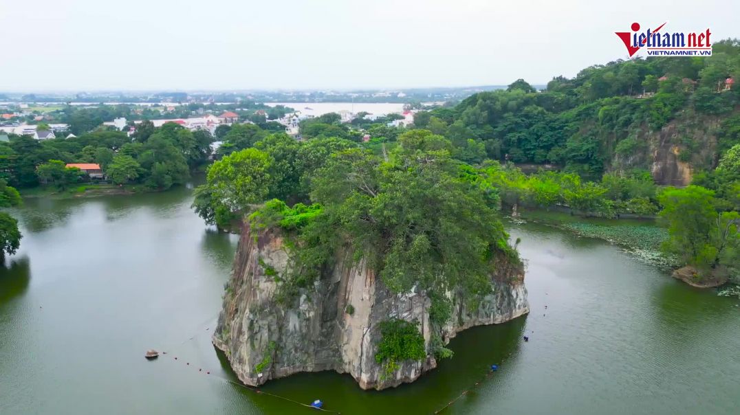 ⁣Cận cảnh đàn chim cổ rắn quý hiếm xuất hiện tại Đồng Nai