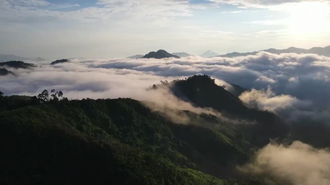 ⁣Mùa săn mây đẹp nhất ở thủ phủ sâm Ngọc Linh