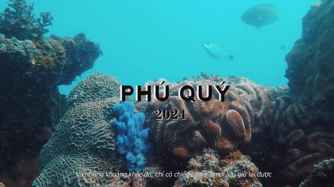 ⁣PHÚ QUÝ 2024