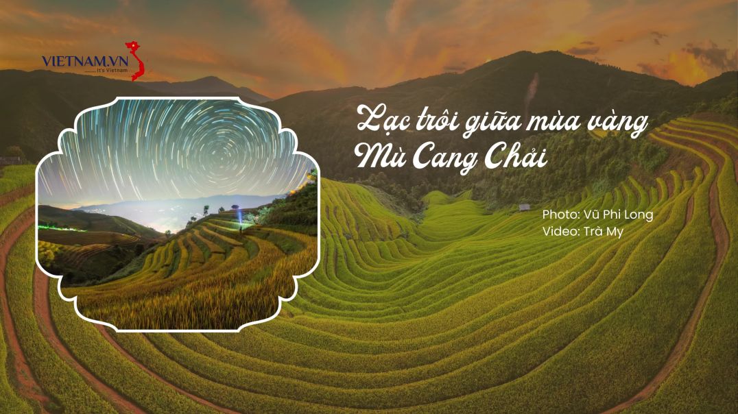 ⁣Lạc trôi giữa mùa vàng Mù Cang Chải