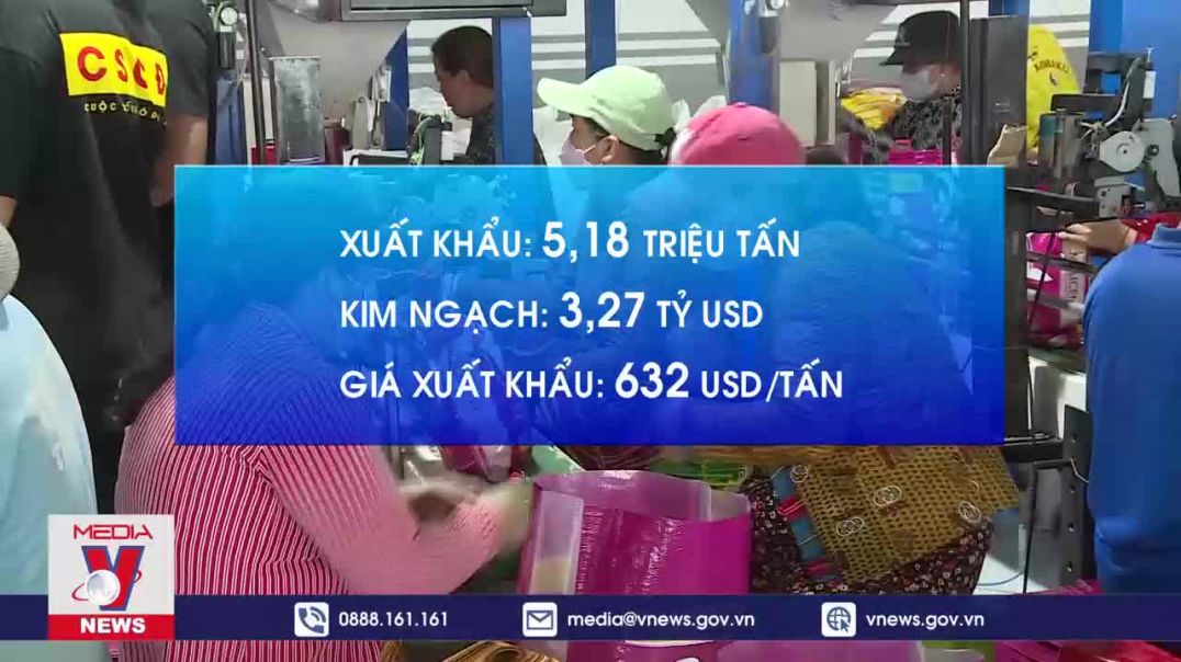 Gạo Việt Nam vững chắc 'ngôi đầu' tại thị trường Đông Nam Á