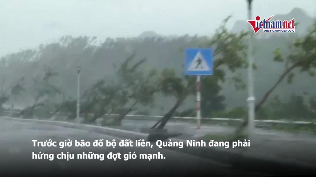 ⁣Quảng Ninh, Hà Nội oằn mình trước sức tấn công của bão Yagi