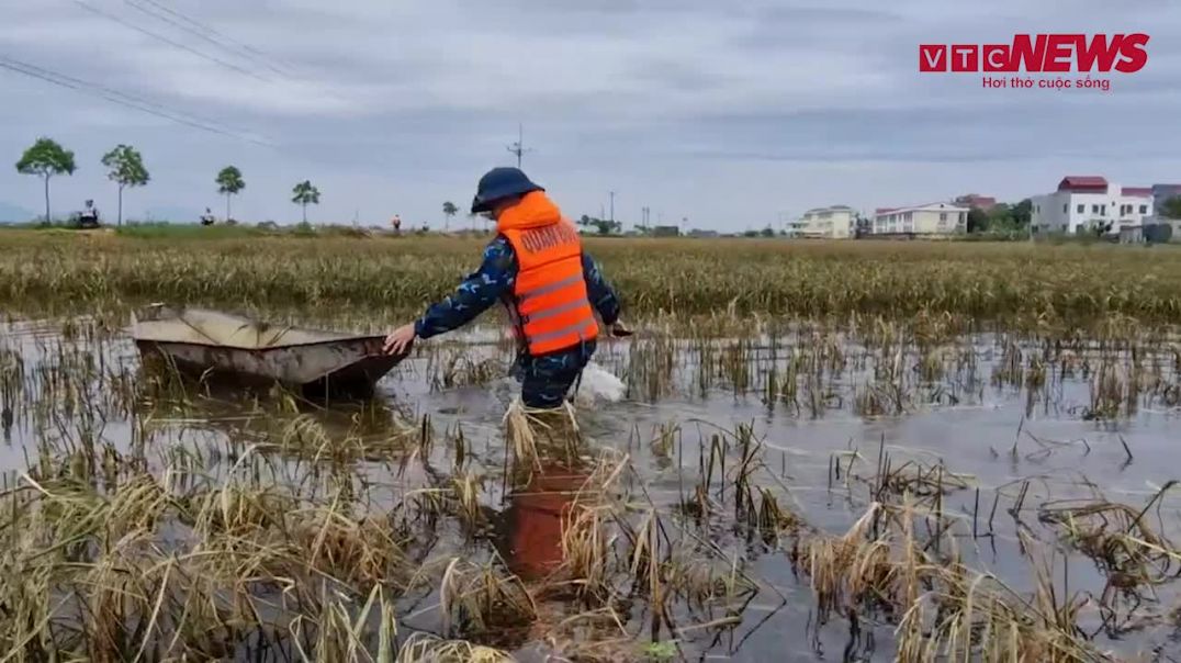 ⁣Không quân dầm mình trong nước, chạy đua với thời gian, gặt lúa giúp dân