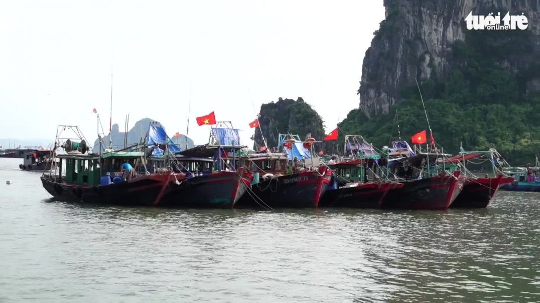 Quảng Ninh hối hả đưa tàu thuyền đến nơi trú bão, phòng tâm bão số 3 đổ bộ