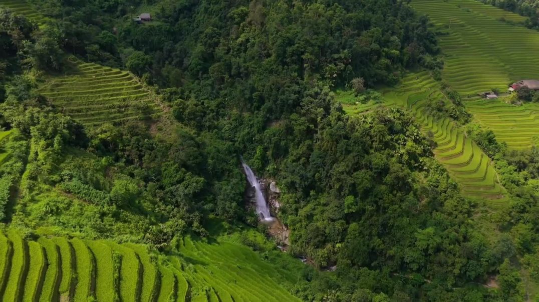 ⁣Ngắm mùa lúa chín ở Hà Giang vẹn nguyên sau bão lũ