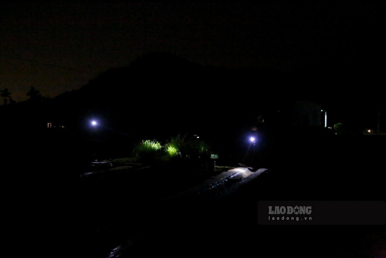 Khoảng 19h tối, nhiều nông dân vẫn còn đội đèn để làm việc khiến nhiều cánh đồng lấp ló ánh đèn pin rọi sáng. Được biết, thời gian làm việc bắt đầu từ 16 giờ cho đến tận 23 giờ đêm.