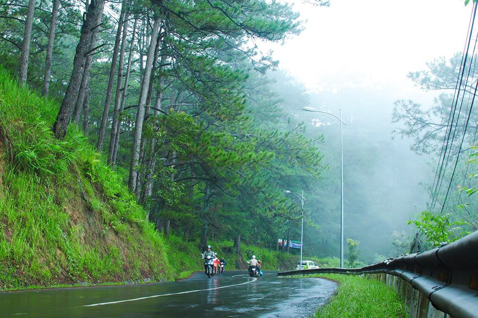 Hình ảnh Đà lạt vào mùa mưa