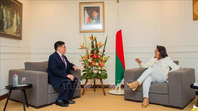 Madagascar admires Vietnam's strong development - Vietnam.vn