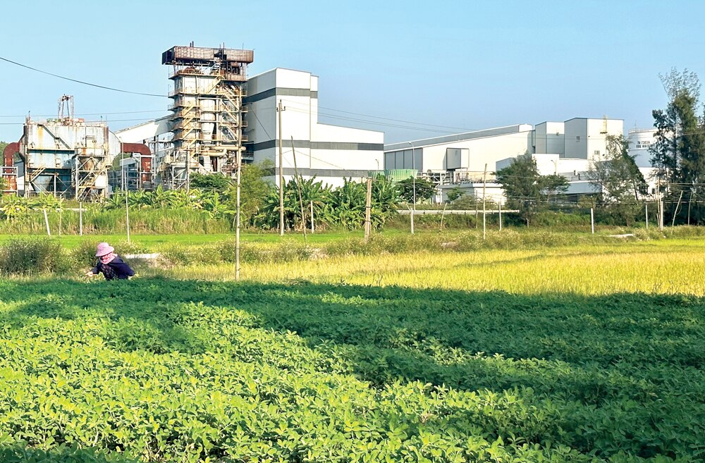 Khu vực đất nằm trong vùng dự án Nhà máy Sản xuất nhiên liệu sinh học Bio - Ethanol Dung Quất hiện đã dừng thực hiện, nhưng chưa hủy bỏ quyết định thu hồi đất cho người dân.  