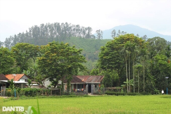 Khám phá Lộc Yên, một trong 4 ngôi làng cổ đẹp nhất Việt Nam - 2