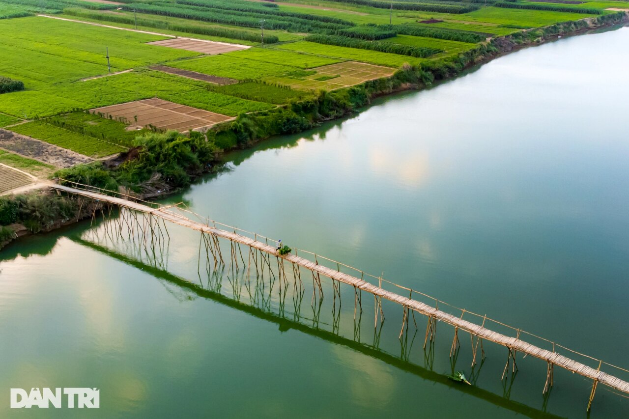 Entre Chine et Etats-Unis, le Vietnam joue la stratégie du bambou