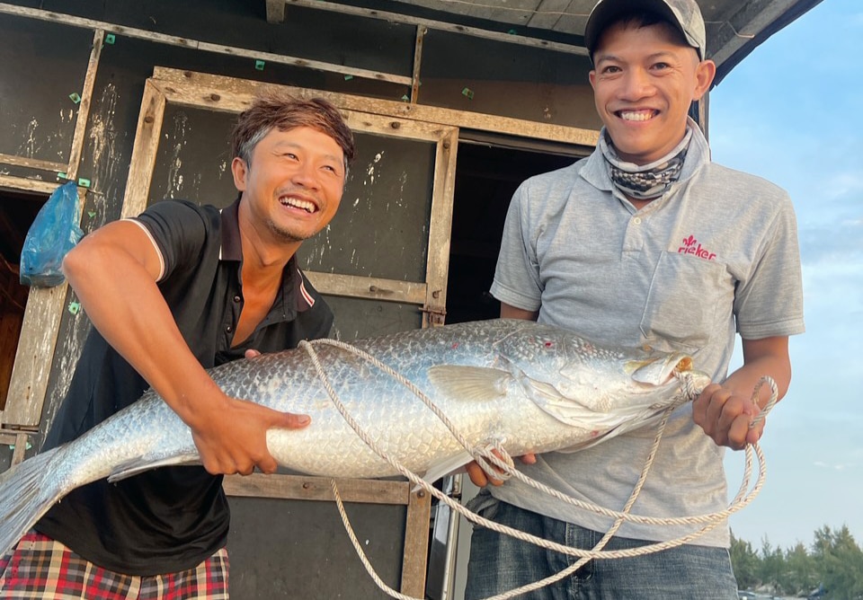 Angler catches 15 kg sea bass 