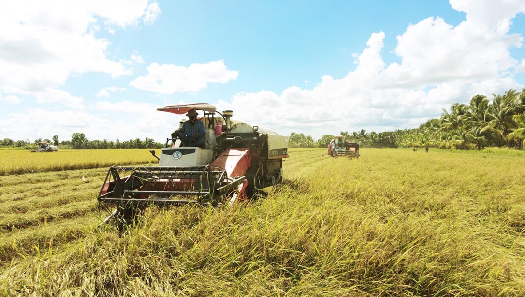 Xuất khẩu gạo Việt Nam có thể tiếp tục bứt phá