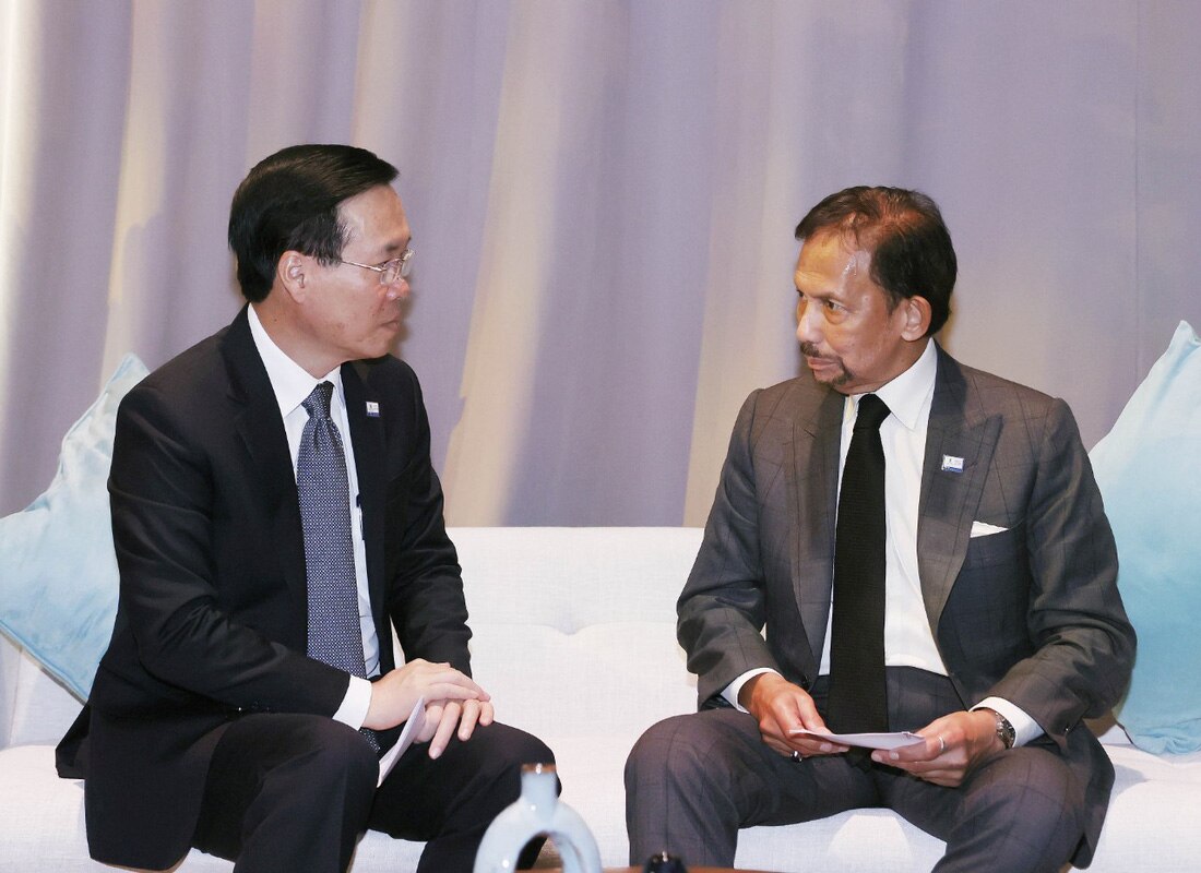 Chủ tịch nước Võ Văn Thưởng gặp Quốc vương Brunei Haji Hassanal Bolkiah - Ảnh: TUẤN ANH