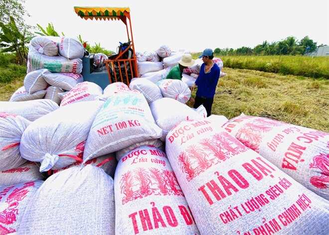 VN đang tận dụng tốt cơ hội giá gạo thế giới tăng cao